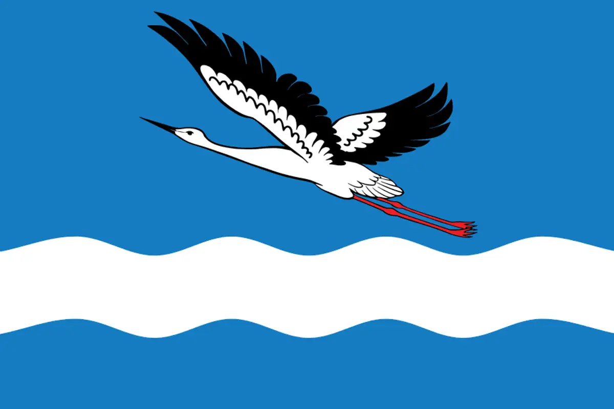 Флаг: Амурск
