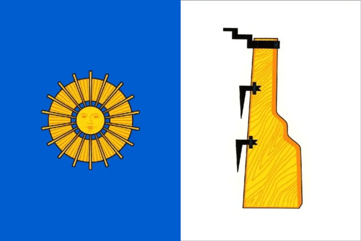 Флаг: Боровичи