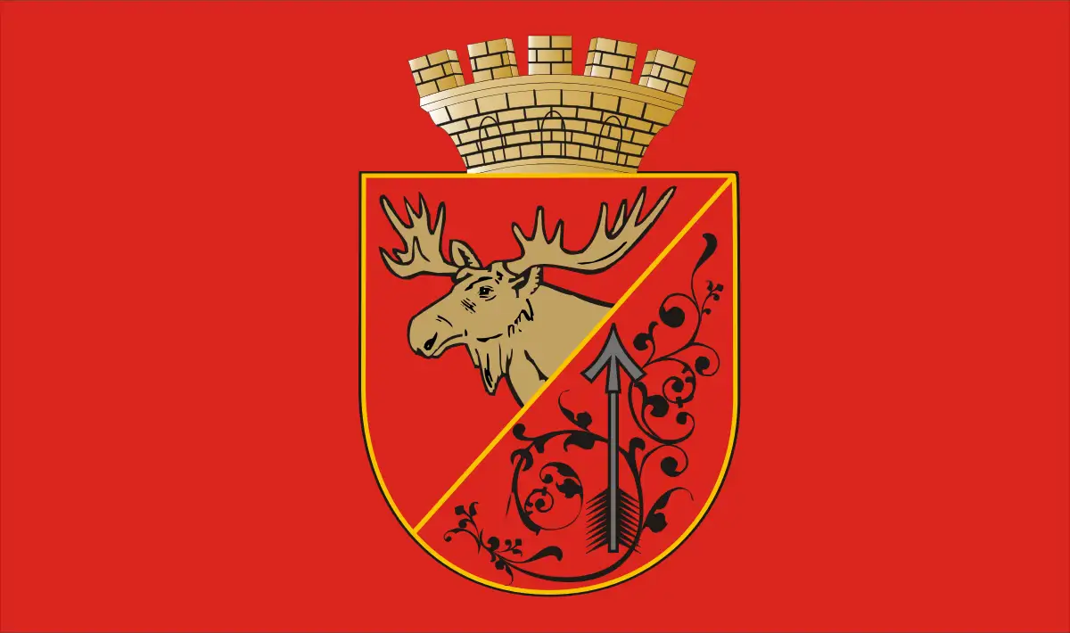 Флаг: Гусев
