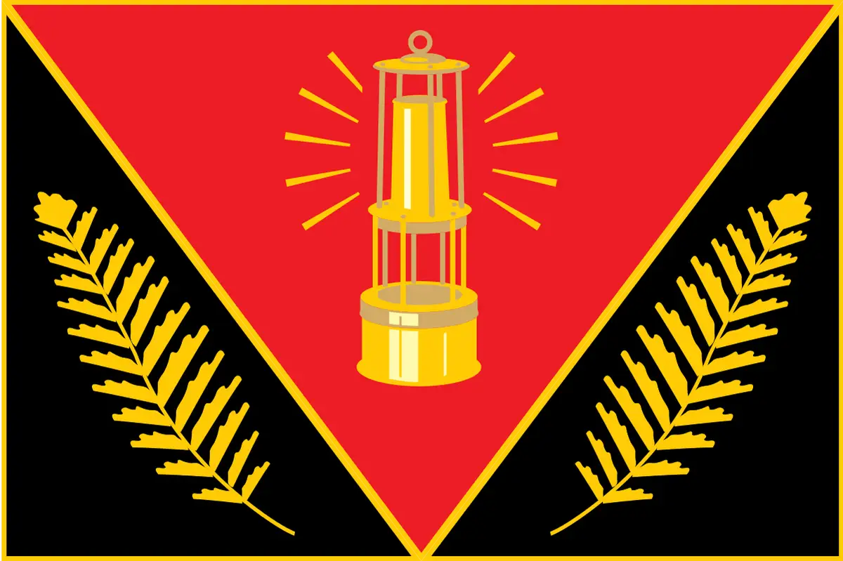 Флаг: Димитров