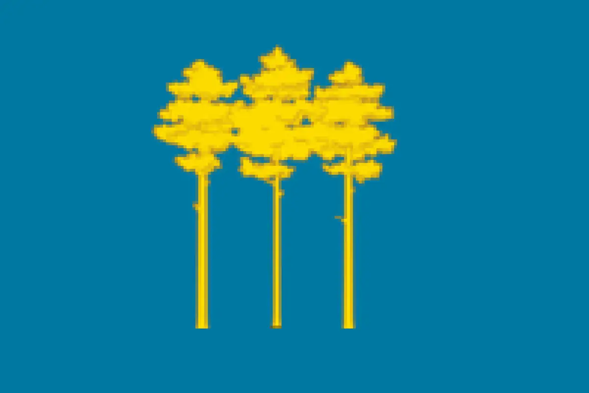 Флаг: Димитровград