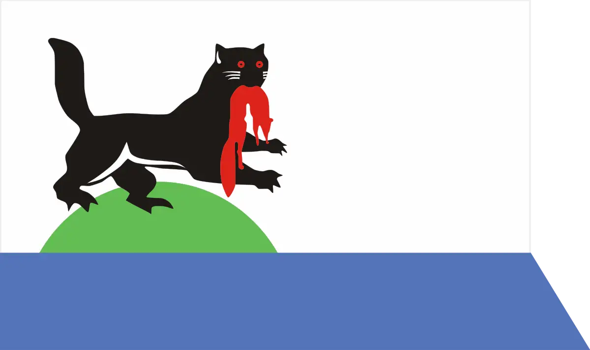 Флаг: Иркутск