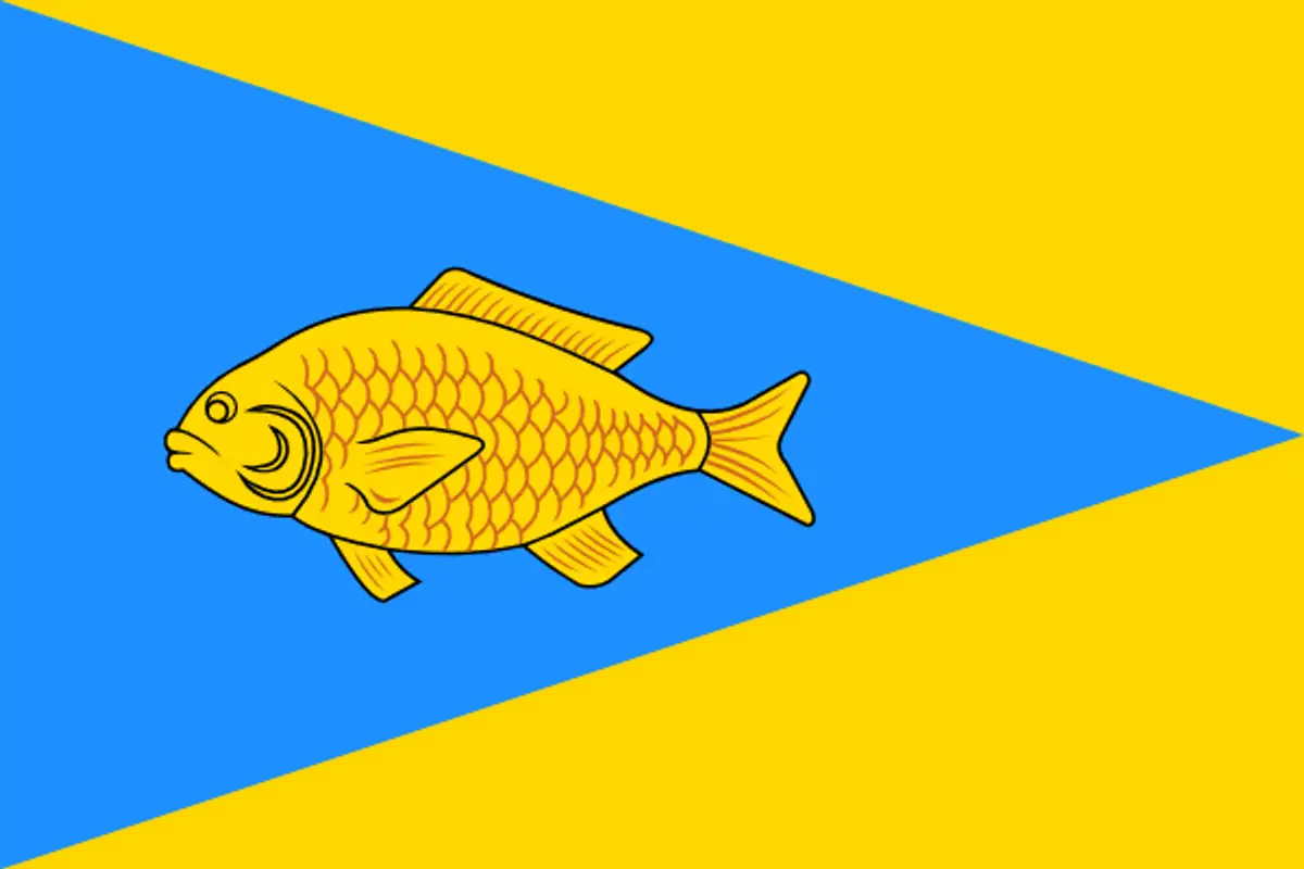 Флаг: Ишим