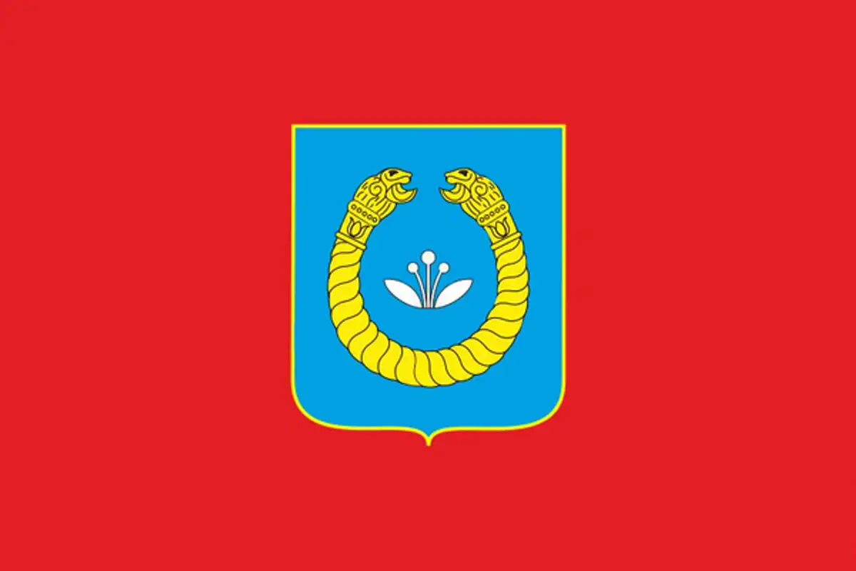 Флаг: Каменка-Днепровская
