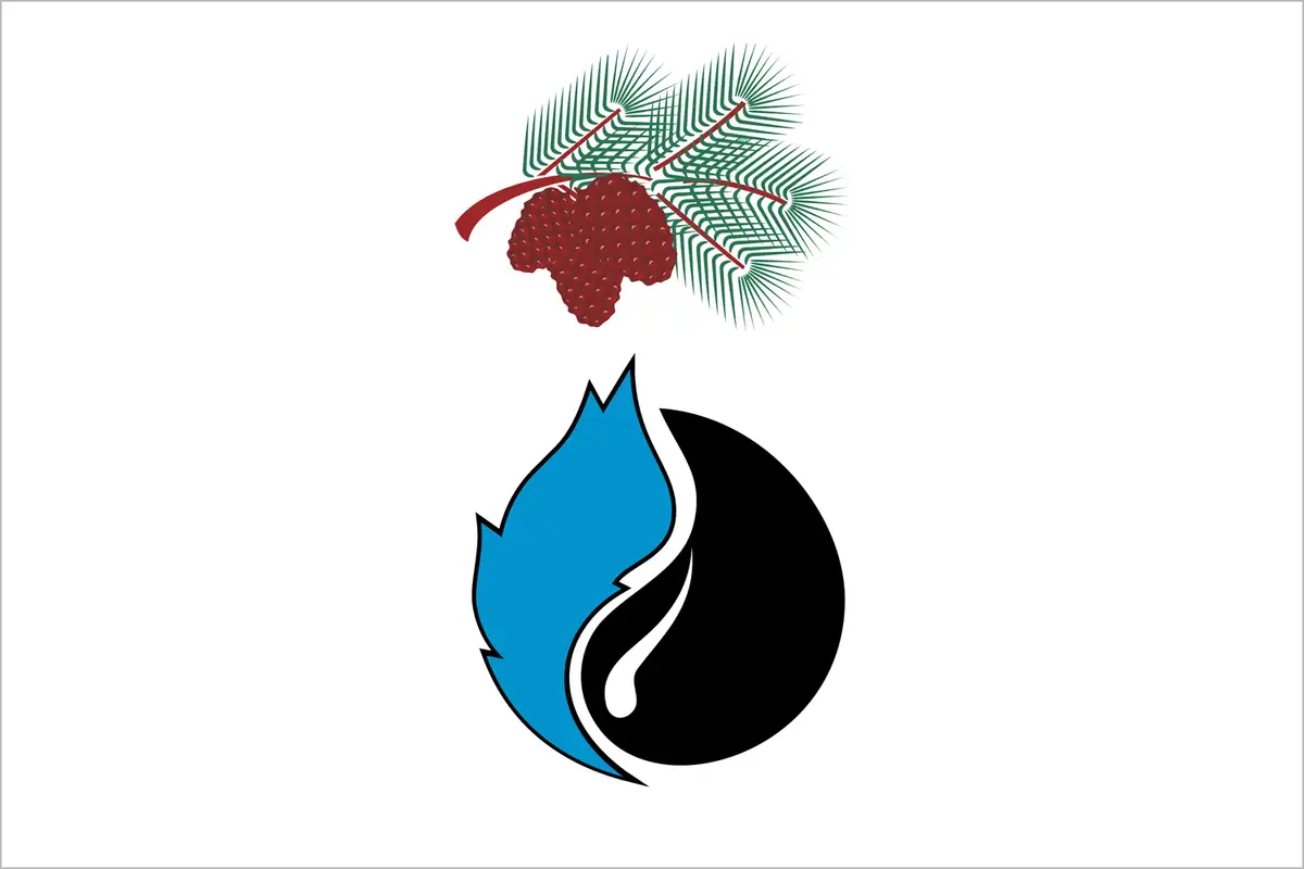 Флаг: Кедровый