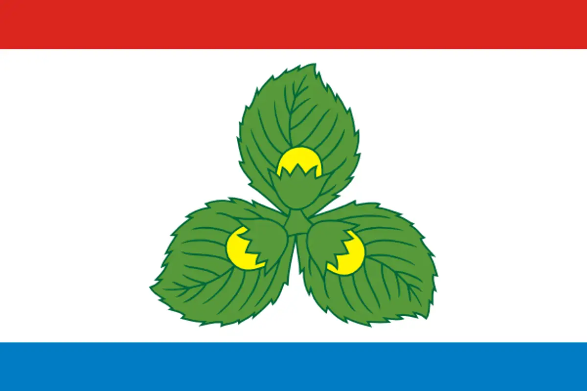 Флаг: Краснознаменск
