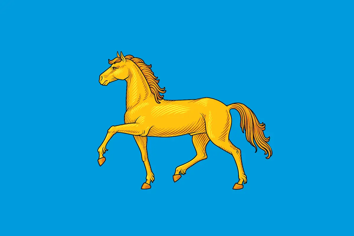 Флаг: Минусинск