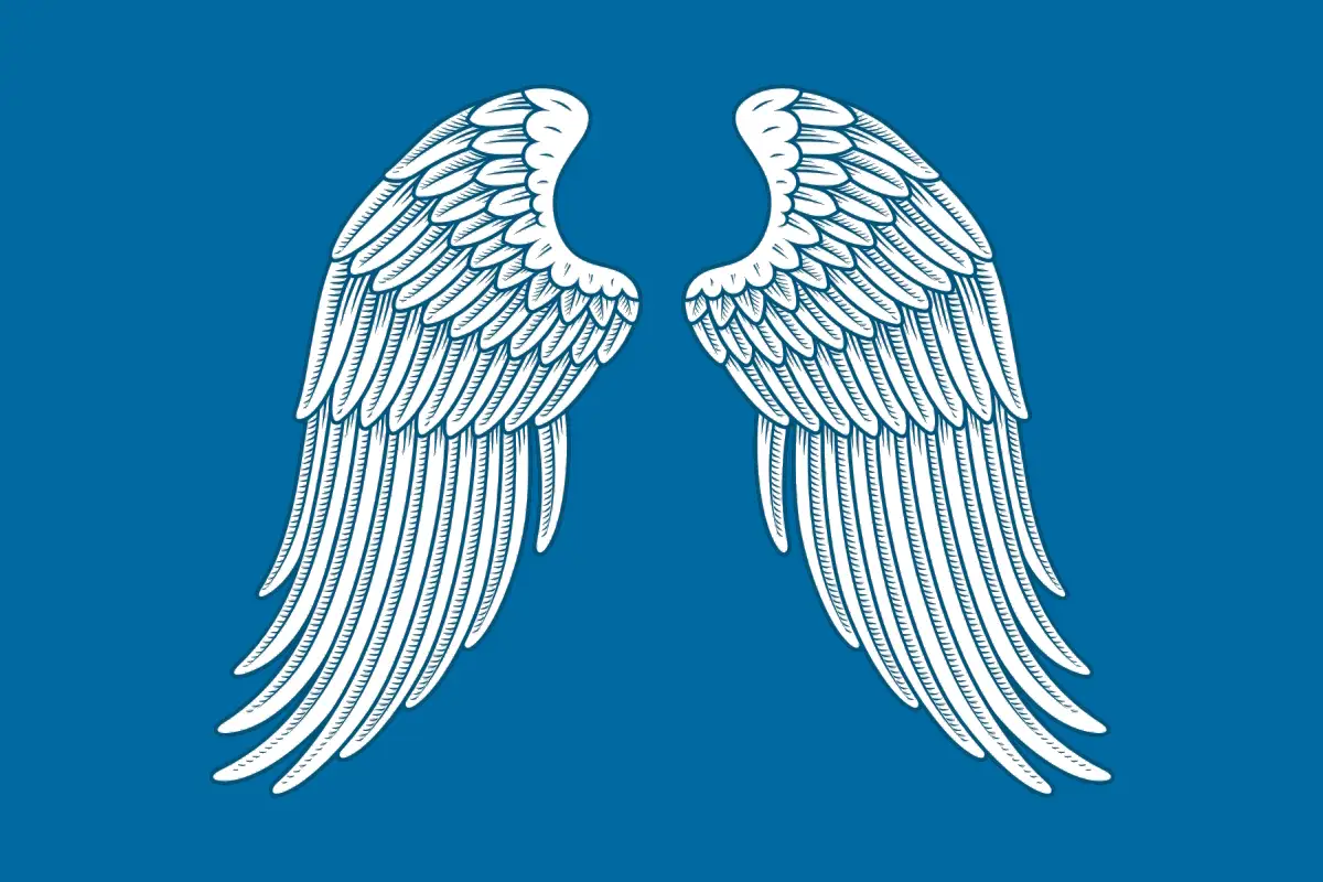Флаг: Михайлов