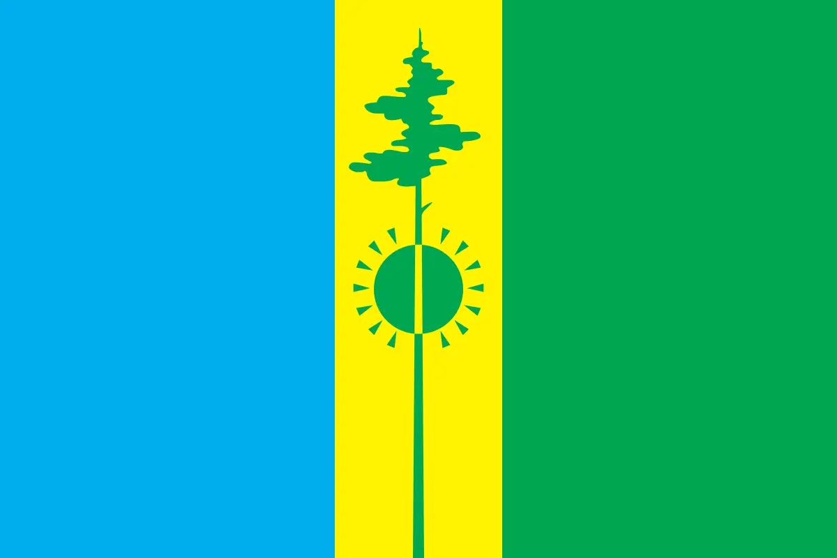 Флаг: Нижнекамск