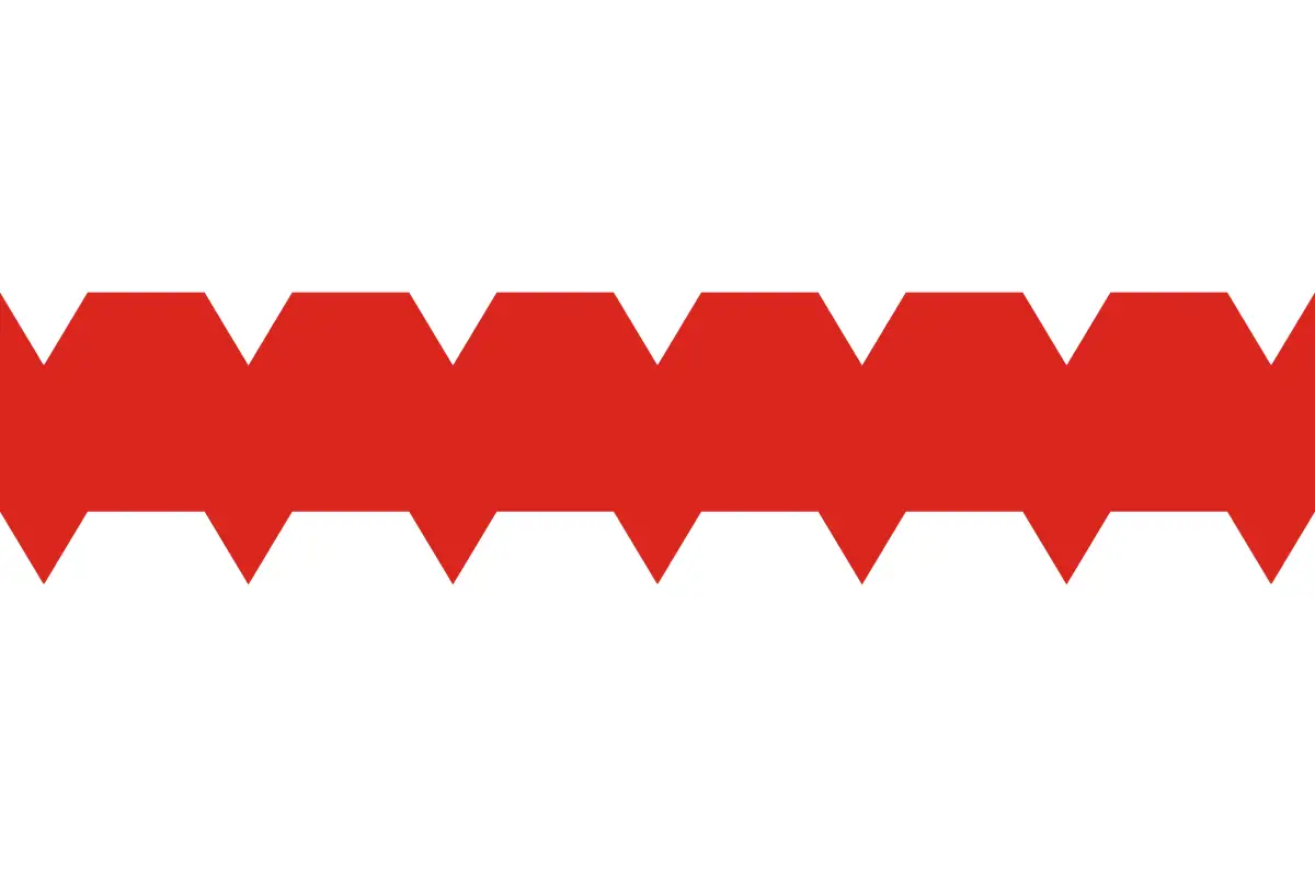 Флаг: Омск