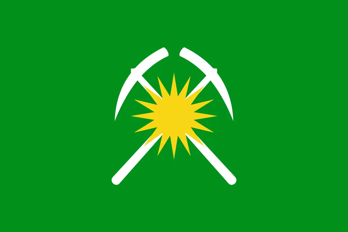 Флаг: Райчихинск
