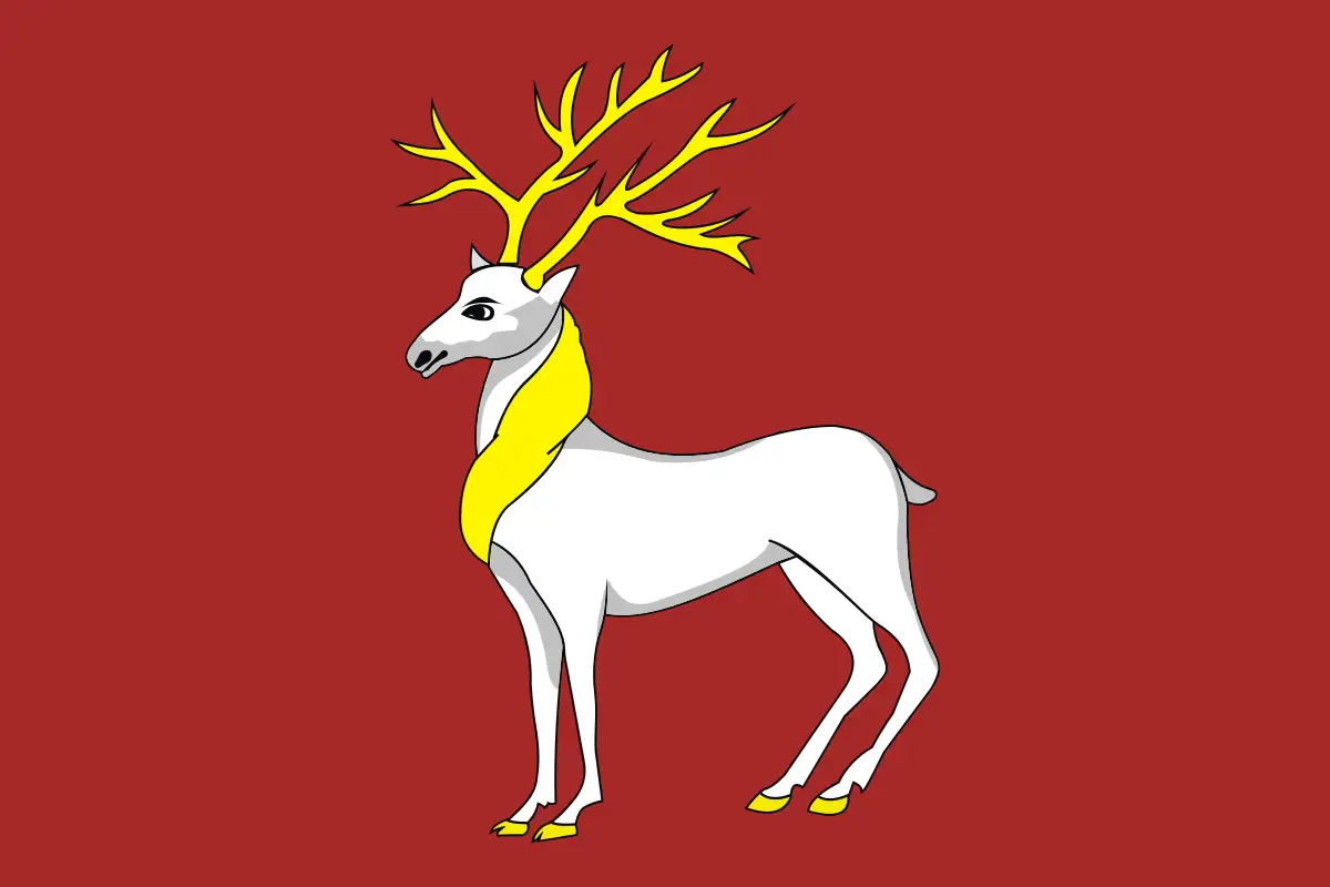 Флаг: Ростов