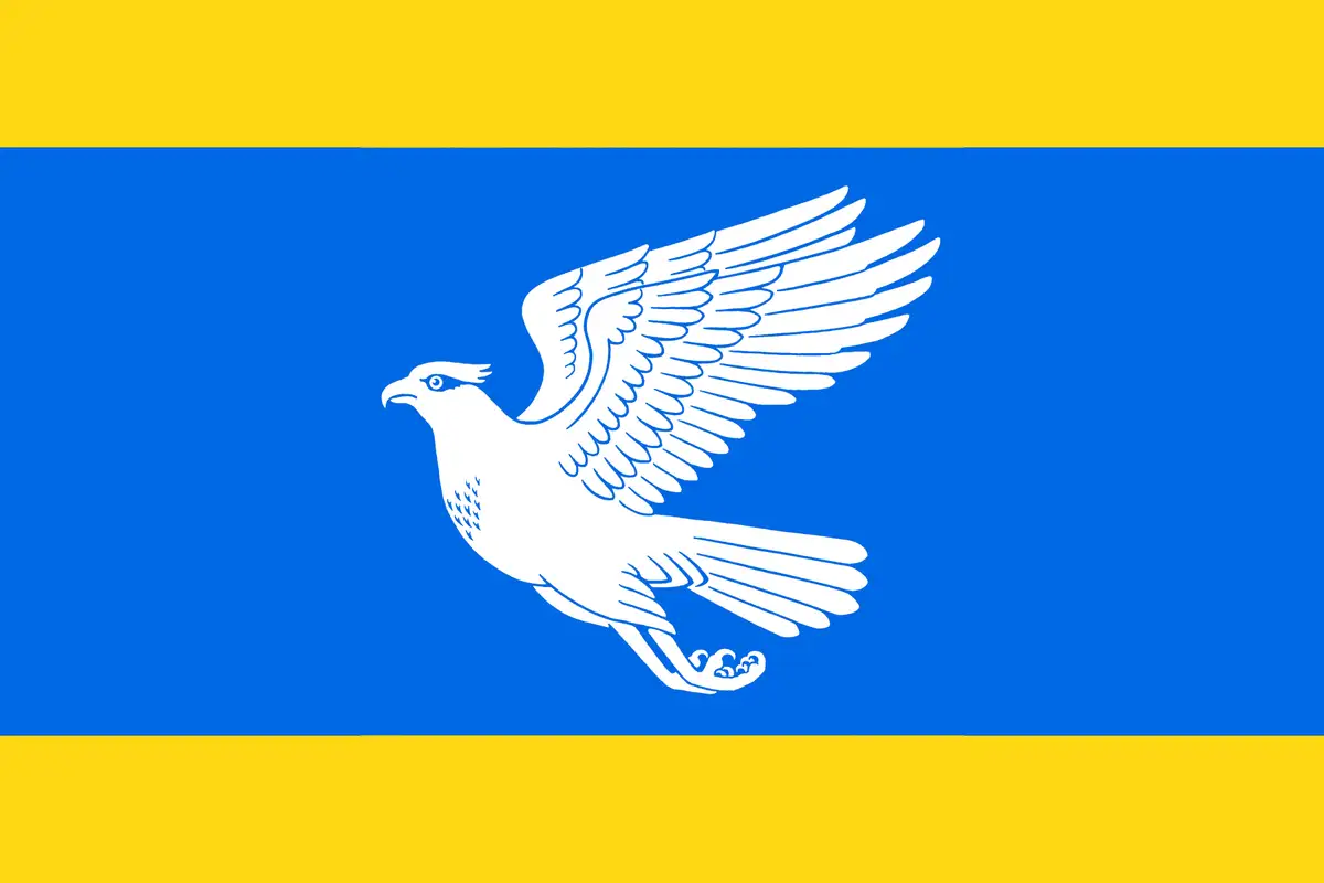 Флаг: Скопин