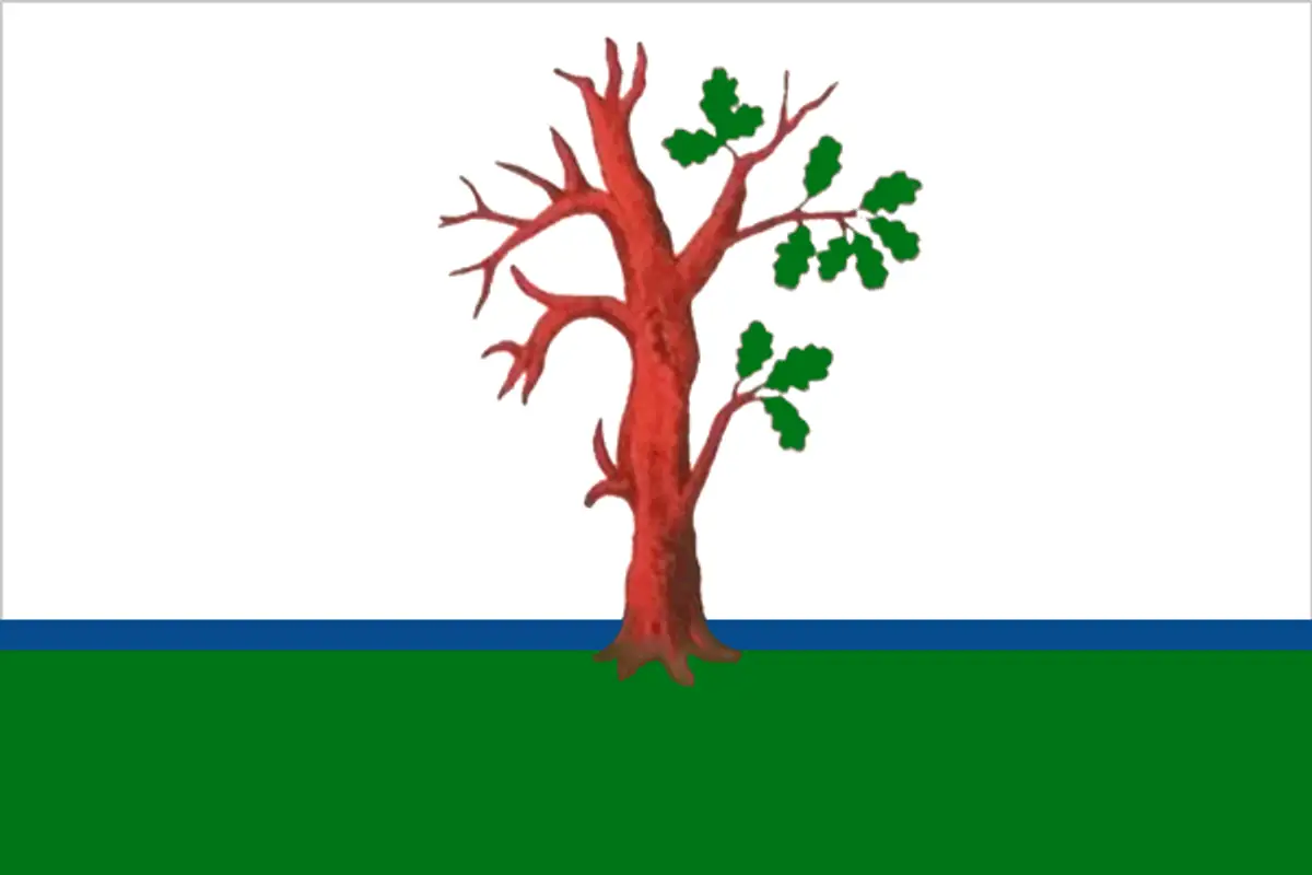 Флаг: Стародуб