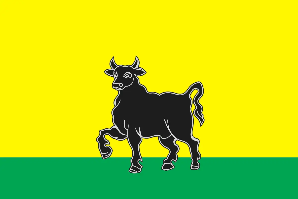 Флаг: Сызрань
