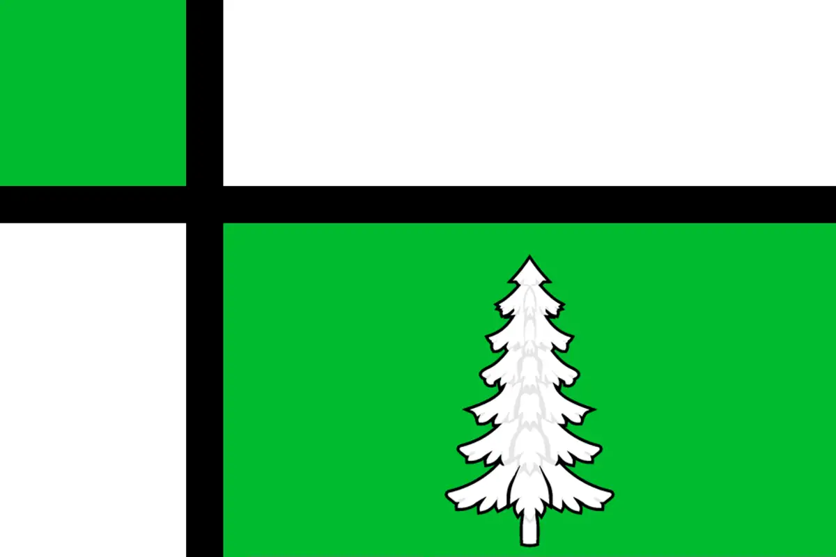 Флаг: Тайшет