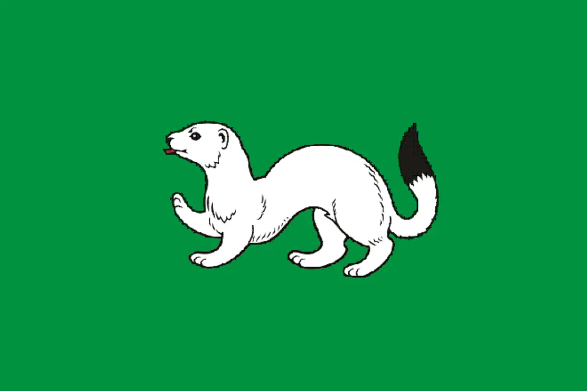 Флаг: Тара