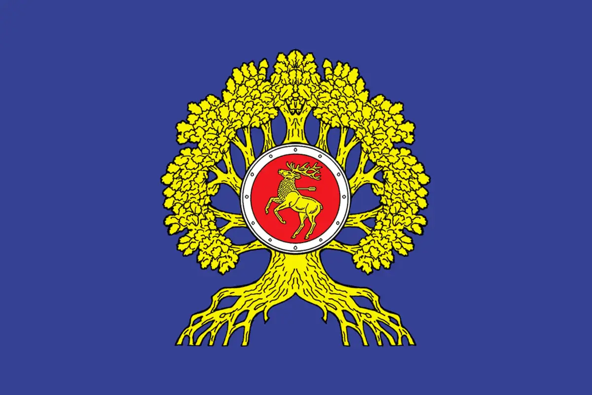 Флаг: Урюпинск