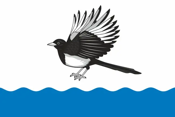 Флаг: Беломорск