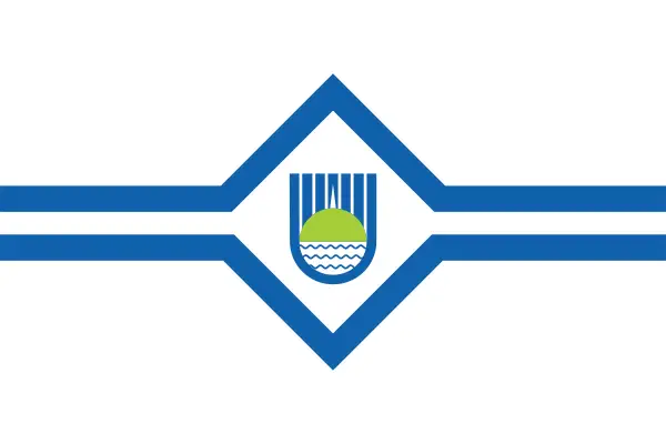 Флаг: Биробиджан