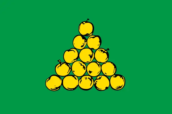 Флаг: Валуйки