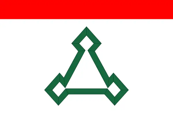 Флаг: Волоколамск