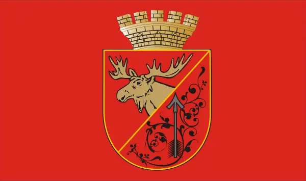 Флаг: Гусев