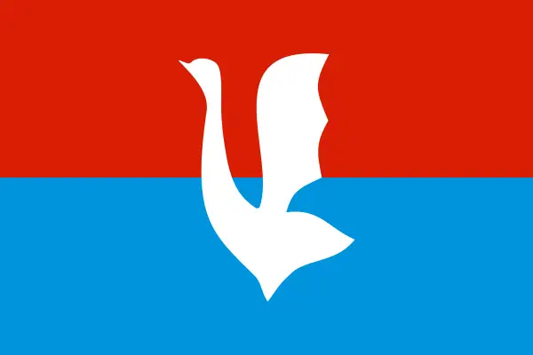 Флаг: Гусь-Хрустальный