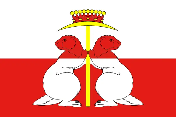 Флаг: Донской