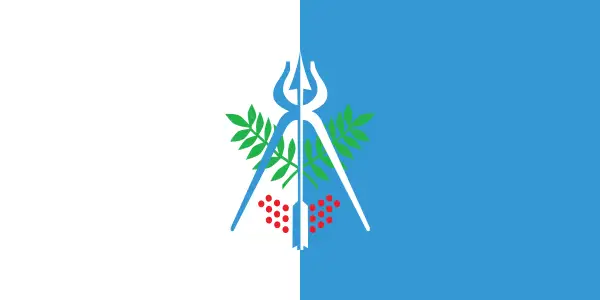 Флаг: Ижевск