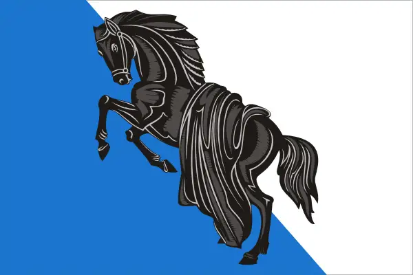 Флаг: Касли