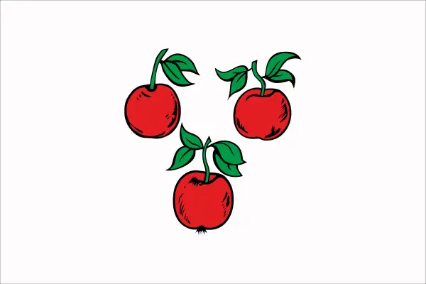 Флаг: Короча