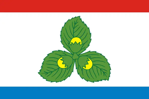 Флаг: Краснознаменск