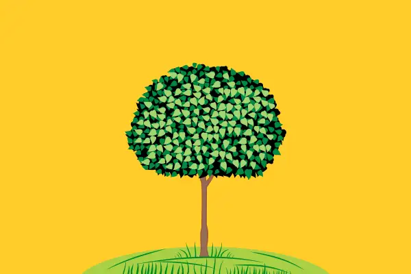 Флаг: Липецк