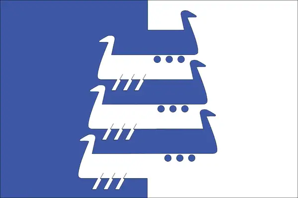 Флаг: Наволоки