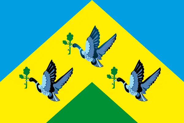 Флаг: Новочебоксарск