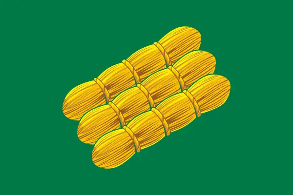 Флаг: Пудож