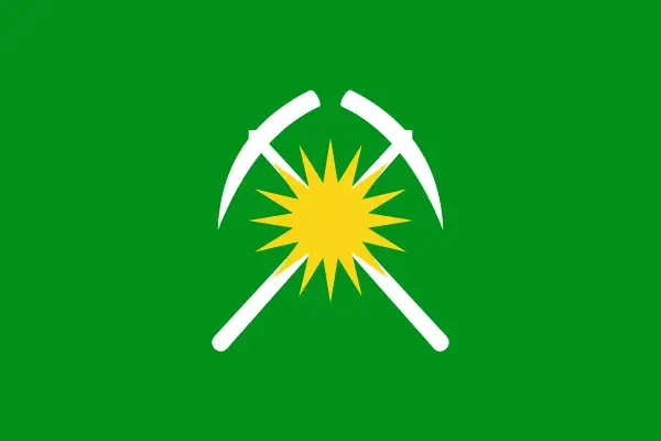 Флаг: Райчихинск