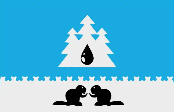 Флаг: Советский