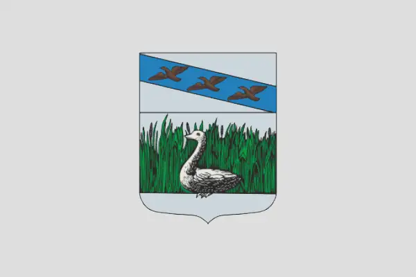 Флаг: Суджа