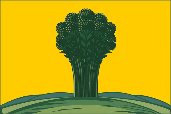 Флаг: Сураж