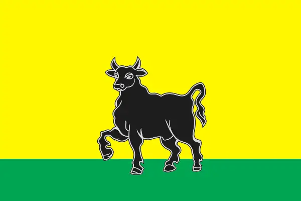 Флаг: Сызрань