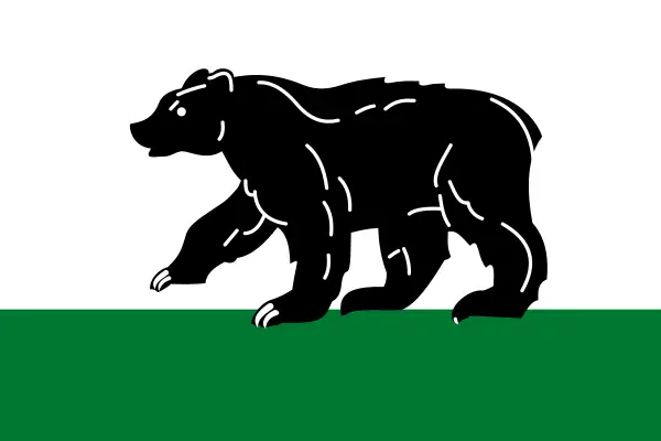 Флаг: Черняховск