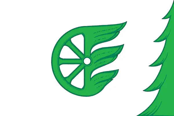 Флаг: Шахунья