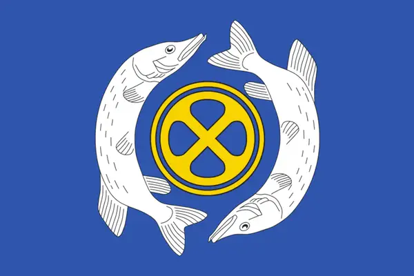 Флаг: Щучье