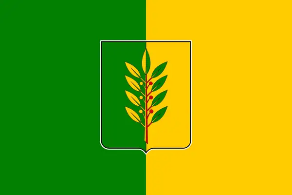 Флаг: Славгород