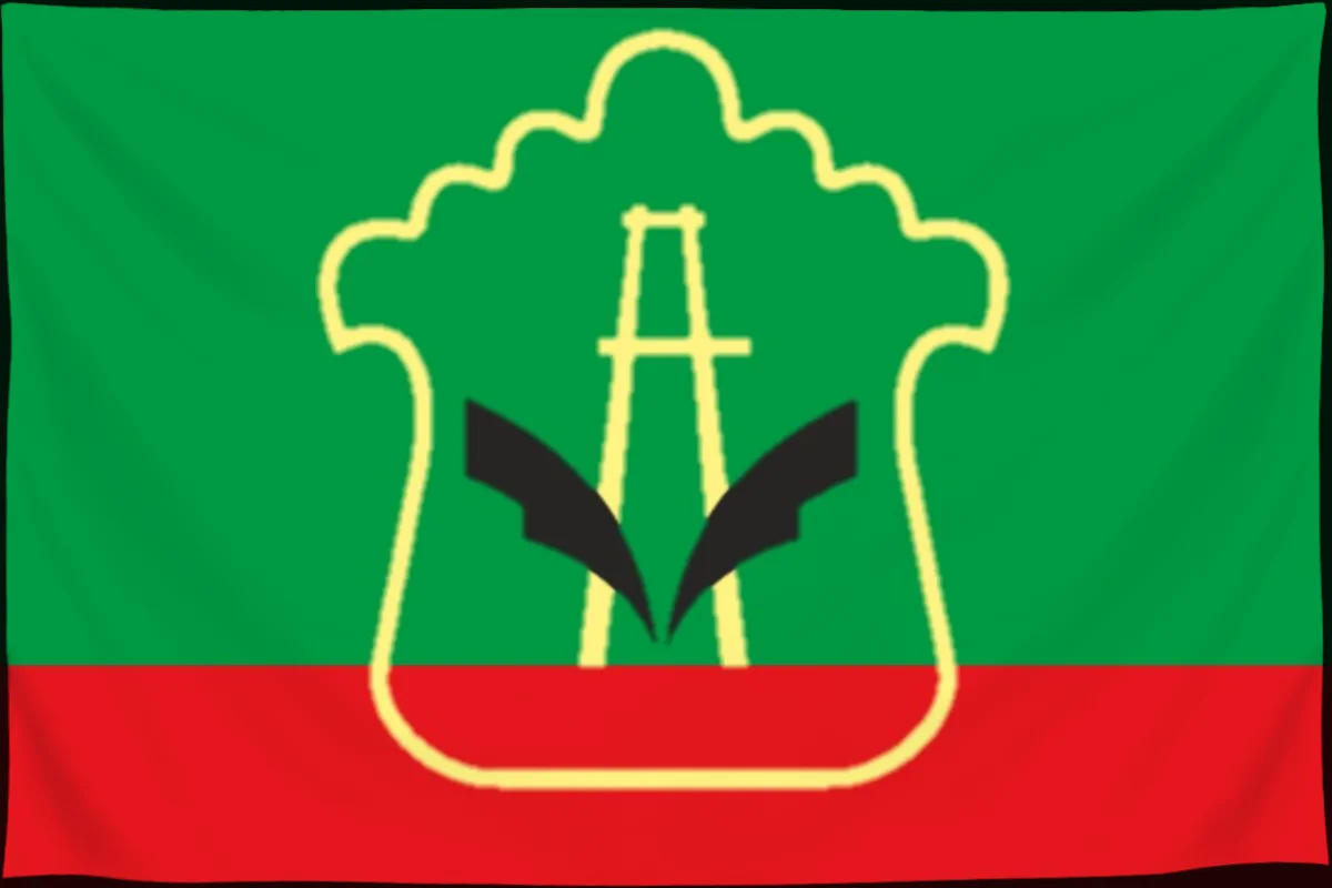 Флаг: Альметьевск