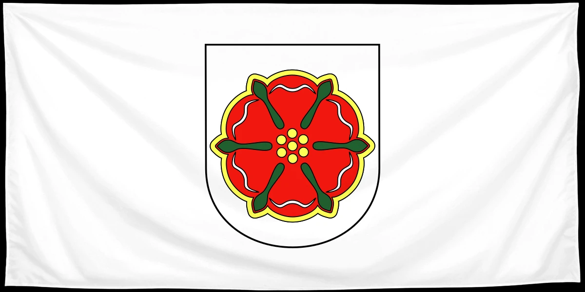 Флаг: Барцин