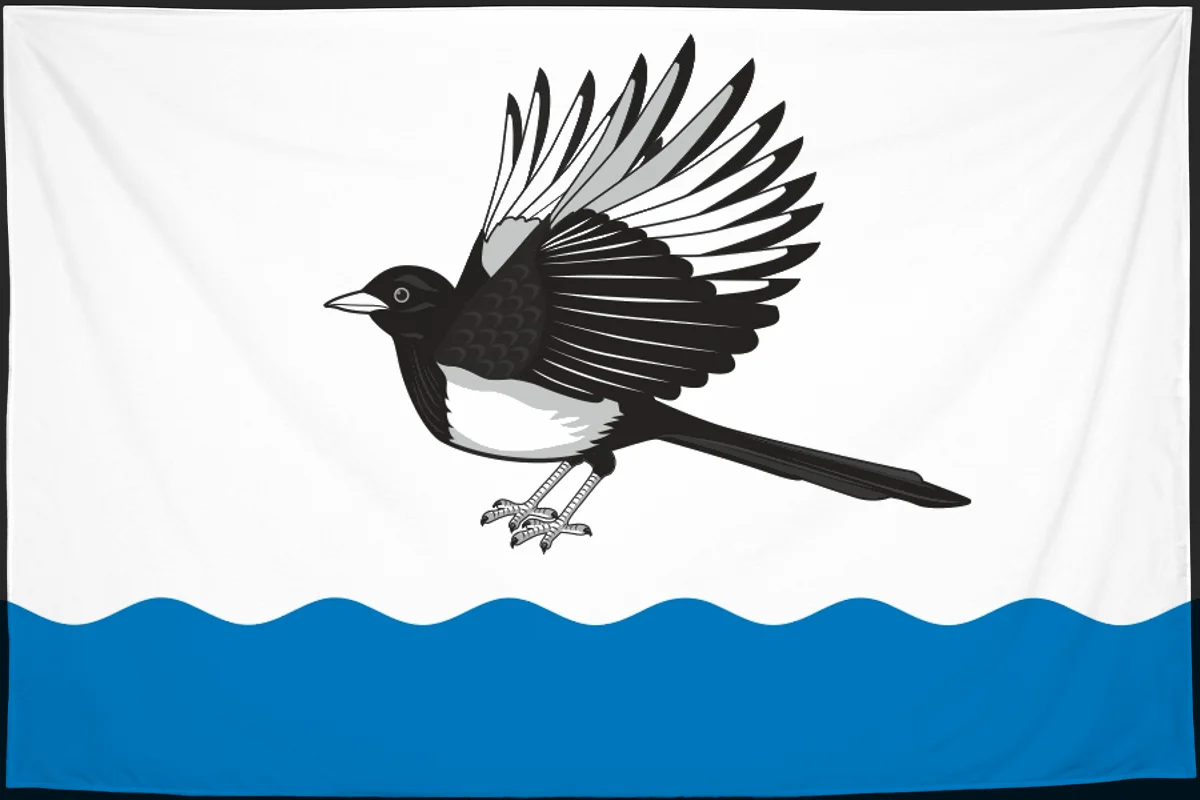 Флаг: Беломорск