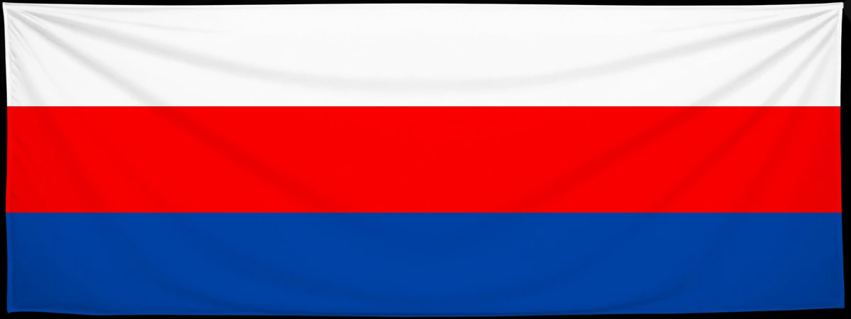 Флаг: Бжеско